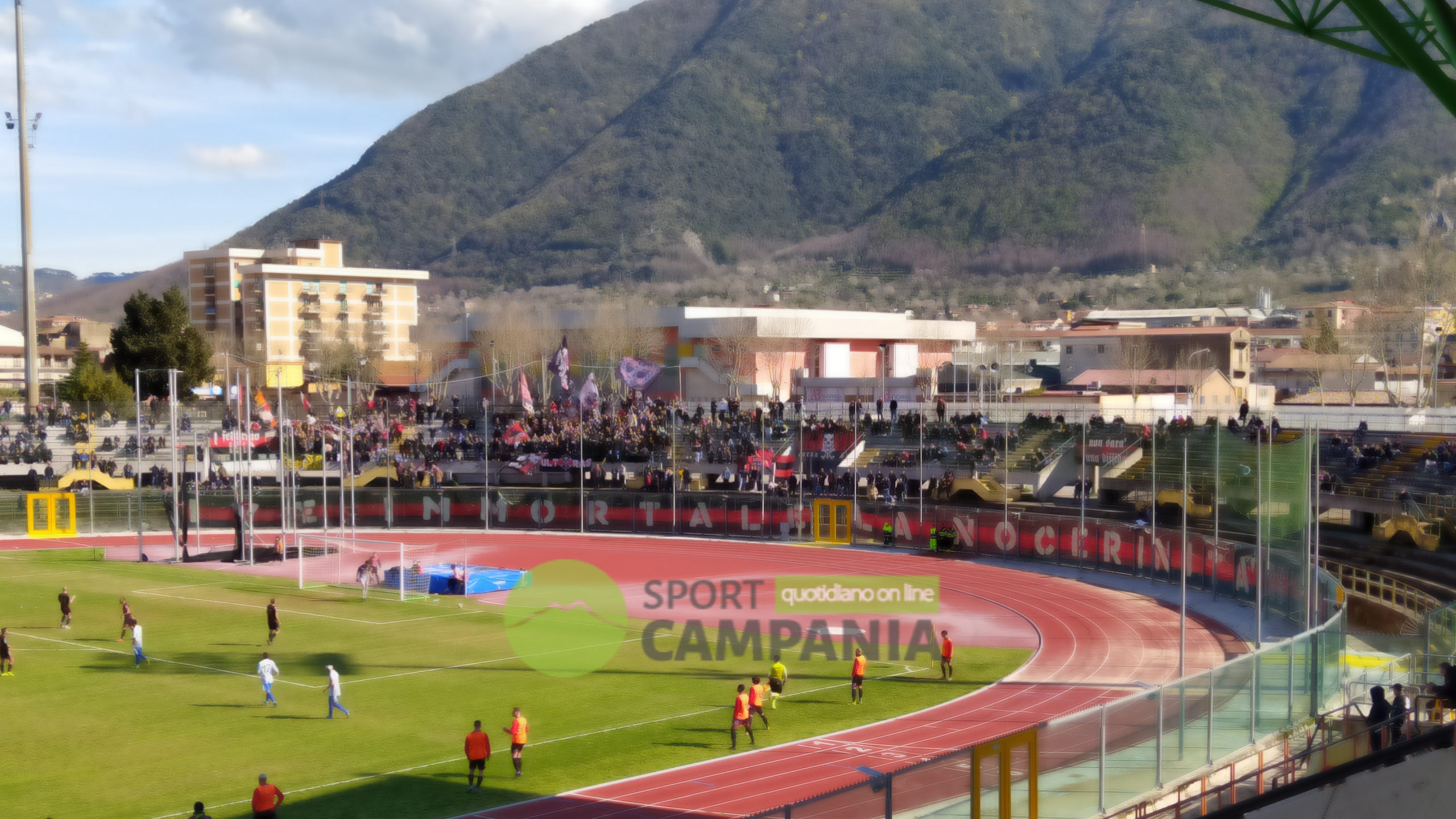 nocerina