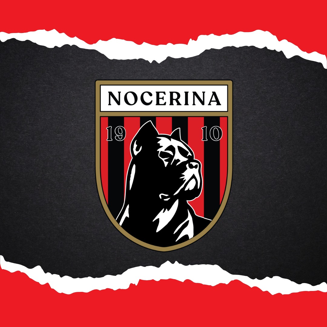 Nocerina logo
