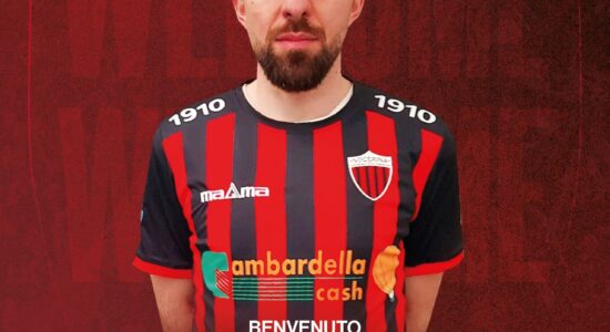Nocerina lomasto