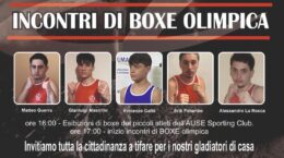 Trofeo AUSE Boxe